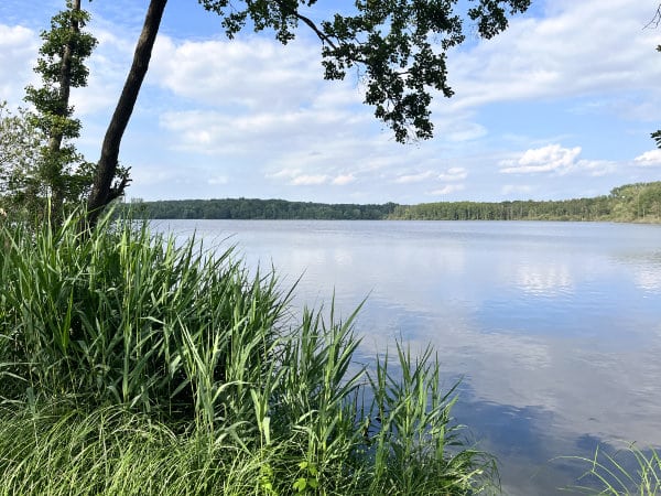 Ausblick auf den Glabbacher Bruch