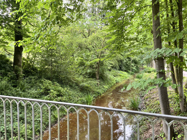 Naturpark im Schloss Moyland Schloss Moyland