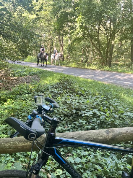 Rad und Pferde am Niederrhein