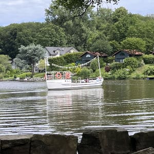 Patschel auf dem Hariksee